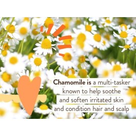 Babo Botanicals Sensitive Baby Fragrance-Free Diaper Cream - 25% Natural Zinc Oxide - Calendula, Shea & Cocoa Butter - EWG Verified - Vegan- From birth on Babo Botanicals Sensitive Baby Fragrance-Free Diaper Cream - 25% Natural Zinc Oxide - Calendula, Shea & Cocoa Butter - EWG Verified - Vegan- From birth on