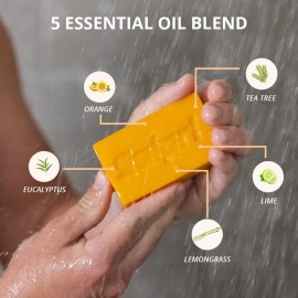 Solpri Shield Athletic Tea Tree Soap Bar with Lemongrass Eucalyptus Oil 4 oz (2 Pack) Protects Skin from Jock Itch, Athlete\'s Foot, Ringworm for Humans MADE IN USA