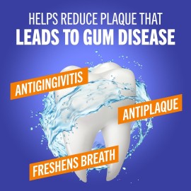TheraBreath Healthy Gums Mouthwash Clean Mint, Antigingivitis, Dentist Formulated, 16 Fl Oz (2-Pack) TheraBreath Healthy Gums Mouthwash Clean Mint, Antigingivitis, Dentist Formulated, 16 Fl Oz (2-Pack)