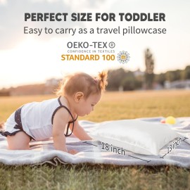 OLESILK Toddler 100% Mulberry Silk Pillowcase, Breathable Soft Smooth for Nursery Kids Night Sleeping, Silk Travel Pillow Cases with Hidden Zipper (1 Pack, Ivory, 13x18) OLESILK Toddler 100% Mulberry Silk Pillowcase, Breathable Soft Smooth for Nursery Kids Night Sleeping, Silk Travel Pillow Cases with Hidden Zipper (1 Pack, Ivory, 13x18)