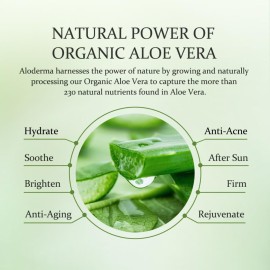 Aloderma 99% Organic Aloe Vera Gel Made within 12 Hours of Harvest, Easy Travel Size Tube for Body, Face, & Scalp, Cooling, Soothing Instant Relief for Skin & Sunburn, Hydrating Aloe Gel, 1.5oz Aloderma 99% Organic Aloe Vera Gel Made within 12 Hours of Harvest, Easy Travel Size Tube for Body, Face, & Scalp, Cooling, Soothing Instant Relief for Skin & Sunburn, Hydrating Aloe Gel, 1.5oz