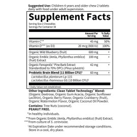 Garden of Life Dr. Formulated Attention and Focus for Kids, Supplement Promotes Healthy Brain Function, Concentration with Organic Wild Blueberry, Pine Bark, Vitamin C, D and Probiotics, 60 Count Garden of Life Dr. Formulated Attention and Focus for Kids, Supplement Promotes Healthy Brain Function, Concentration with Organic Wild Blueberry, Pine Bark, Vitamin C, D and Probiotics, 60 Count
