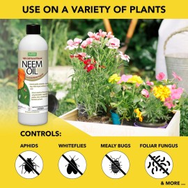 Harris Neem Oil, 100% Cold Pressed and Unrefined, Cosmetic Grade, 12oz Harris Neem Oil, 100% Cold Pressed and Unrefined, Cosmetic Grade, 12oz