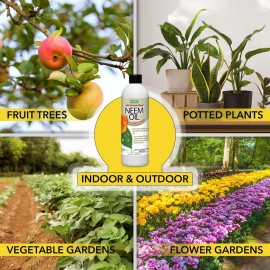 Harris Neem Oil, 100% Cold Pressed and Unrefined, Cosmetic Grade, 12oz Harris Neem Oil, 100% Cold Pressed and Unrefined, Cosmetic Grade, 12oz