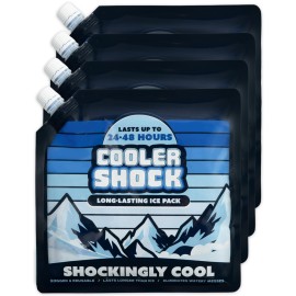 Cooler Shock Reusable Ice Packs for Cooler, 10x10 - Long Lasting Cold Freezer Packs for Coolers and Lunch Boxes - Cooler Ice Packs for Camping Gear, Fishing, Road Trips, Beach Must Haves