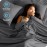 Bare Home Queen Sheet Set - Luxury 1800 Ultra-Soft Microfiber Bed Sheets - Double Brushed - Deep Pockets - Easy Fit - 4 Piece Set - Bedding Sheets & Pillowcases (Queen, Grey)