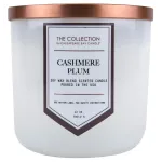 Chesapeake Bay Candle The Collection Two-Wick Scented Candle, Cashmere Plum Medium Jar