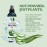 Earth\'s Daughter Organic Aloe Vera Gel from 100% Pure and Natural Cold Pressed Aloe - Great for Face - Hair - Acne - Sunburn - Bug Bites - Rashes - Eczema - 8 Oz.
