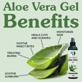 Earth\'s Daughter Organic Aloe Vera Gel from 100% Pure and Natural Cold Pressed Aloe - Great for Face - Hair - Acne - Sunburn - Bug Bites - Rashes - Eczema - 8 Oz. Earth\'s Daughter Organic Aloe Vera Gel from 100% Pure and Natural Cold Pressed Aloe - Great for Face - Hair - Acne - Sunburn - Bug Bites - Rashes - Eczema - 8 Oz.