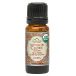 US Organic 100% Pure Clove Stem Essential Oil - USDA Certified Organic, Steam Distilled (10 ml)