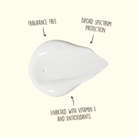 Sun Bum Original SPF 50 Sunscreen Face Lotion - Broad Spectrum Moisturizing Facial Sunscreen with Vitamin E - Hawaii 104 Act Compliant (Made without Octinoxate & Oxybenzone) - Travel Friendly - 3 oz Sun Bum Original SPF 50 Sunscreen Face Lotion - Broad Spectrum Moisturizing Facial Sunscreen with Vitamin E - Hawaii 104 Act Compliant (Made without Octinoxate & Oxybenzone) - Travel Friendly - 3 oz