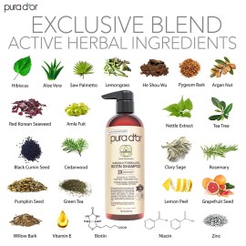 PURA D\'OR Professional Grade Clinically Formulated Biotin Shampoo & Conditioner For Hair Thinning - 2X Concentrated Proprietary Herbal Blend Thickening Products For Women & Men, Sulfate Free, 16oz x2 PURA D\'OR Professional Grade Clinically Formulated Biotin Shampoo & Conditioner For Hair Thinning - 2X Concentrated Proprietary Herbal Blend Thickening Products For Women & Men, Sulfate Free, 16oz x2