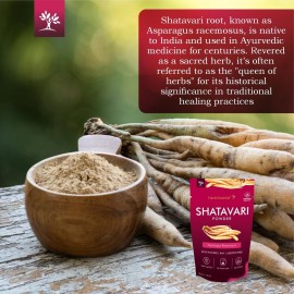 Herb Essential 3.52 Ounce 100% Natural Shatavari Powder, Asparagus Racemosus, Pure Ayurvedic Herb for Energy & Vitality, Vegan, No Preservatives, (1.76 Ounce Pack of 2) Herb Essential 3.52 Ounce 100% Natural Shatavari Powder, Asparagus Racemosus, Pure Ayurvedic Herb for Energy & Vitality, Vegan, No Preservatives, (1.76 Ounce Pack of 2)
