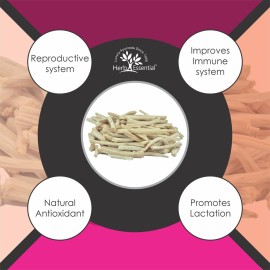 Herb Essential 3.52 Ounce 100% Natural Shatavari Powder, Asparagus Racemosus, Pure Ayurvedic Herb for Energy & Vitality, Vegan, No Preservatives, (1.76 Ounce Pack of 2) Herb Essential 3.52 Ounce 100% Natural Shatavari Powder, Asparagus Racemosus, Pure Ayurvedic Herb for Energy & Vitality, Vegan, No Preservatives, (1.76 Ounce Pack of 2)