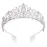 Didder Silver Crystal Tiara Crown Headband Princess Elegant Crown with combs for Women Girls Bridal Wedding Prom Birthday Party