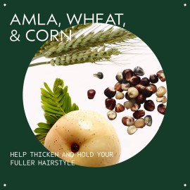 Aveda Thickening Tonic | Instantly Thickens Hair | for Thin and Fine Hair | with Certified Organic Amla, 1 Fl Oz Aveda Thickening Tonic | Instantly Thickens Hair | for Thin and Fine Hair | with Certified Organic Amla, 1 Fl Oz