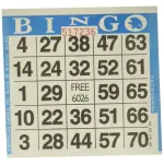 American Games 1on Blue Bingo Paper (500 Sheets),Cards included