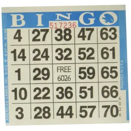 American Games 1on Blue Bingo Paper (500 Sheets),Cards included