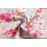 Sladatona Little Girls\' Soft Cotton Underwear Bring Cool, Breathable Comfort Experience Panty 5-6years Mixed Colour Gray White