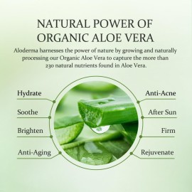 Aloderma Organic Aloe Vera Gel for Face & Body, 96% Pure Aloe Gel Made within 12 Hours of Harvest, Ideal for Skin, Scalp, & Hair Hydration, Calming Moisturizer for Soothing After Sun Care Relief, 7oz Aloderma Organic Aloe Vera Gel for Face & Body, 96% Pure Aloe Gel Made within 12 Hours of Harvest, Ideal for Skin, Scalp, & Hair Hydration, Calming Moisturizer for Soothing After Sun Care Relief, 7oz