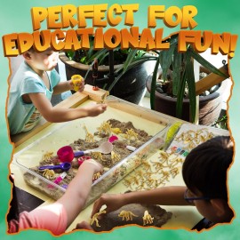 Bedwina Dinosaur Fossil Skeleton - (Pack of 24) 3.7 Inch Assorted Plastic Dino Figure Bones for Kids Science Dig Kit, Digging Sandbox Bins Play Toys, Party Favors, Birthday Decorations Bedwina Dinosaur Fossil Skeleton - (Pack of 24) 3.7 Inch Assorted Plastic Dino Figure Bones for Kids Science Dig Kit, Digging Sandbox Bins Play Toys, Party Favors, Birthday Decorations