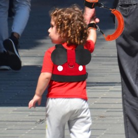 Accmor Toddler Leash Harness, Child Harness Baby Leash + Anti-Lost Wrist Link, Cute Kids Harness with Walking Assistant Strap Belt Tether for 1-5 Years Boys and Girls to Zoo or Mall Accmor Toddler Leash Harness, Child Harness Baby Leash + Anti-Lost Wrist Link, Cute Kids Harness with Walking Assistant Strap Belt Tether for 1-5 Years Boys and Girls to Zoo or Mall