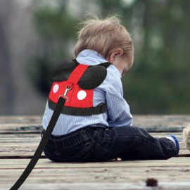 Accmor Toddler Leash Harness, Child Harness Baby Leash + Anti-Lost Wrist Link, Cute Kids Harness with Walking Assistant Strap Belt Tether for 1-5 Years Boys and Girls to Zoo or Mall Accmor Toddler Leash Harness, Child Harness Baby Leash + Anti-Lost Wrist Link, Cute Kids Harness with Walking Assistant Strap Belt Tether for 1-5 Years Boys and Girls to Zoo or Mall