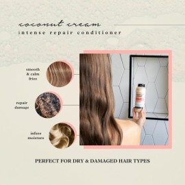 SAUCE BEAUTY Conditioner, Intense Repair Coconut Cream Conditioner (10 Fl Oz) for Dry, Damaged, Frizzy & Curly Hair, Revitalizing Coconut Oil, Banana & Honey, Paraben & Sulfate-Free SAUCE BEAUTY Conditioner, Intense Repair Coconut Cream Conditioner (10 Fl Oz) for Dry, Damaged, Frizzy & Curly Hair, Revitalizing Coconut Oil, Banana & Honey, Paraben & Sulfate-Free