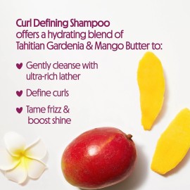 Not Your Mother\'s Naturals Curl Defining Shampoo and Conditioner (2 Pack) - 98% Naturally Derived Ingredients - All Hair Types - Gardenia Mango Butter Not Your Mother\'s Naturals Curl Defining Shampoo and Conditioner (2 Pack) - 98% Naturally Derived Ingredients - All Hair Types - Gardenia Mango Butter