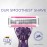 BIC Click 5 Soleil Women\'s Disposable Razors; 5 Blades With a Moisture Strip For a Smoother Shave; 1 Handle and 3 Cartridges; 4 Piece Razor Set