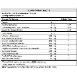 TERRA ORIGIN Healthy Gut Powder (Berry Flavor) |30-Servings with L-Glutamine, Zinc, Glucosamine, Slippery Elm Bark, Marshmallow Root and More! TERRA ORIGIN Healthy Gut Powder (Berry Flavor) |30-Servings with L-Glutamine, Zinc, Glucosamine, Slippery Elm Bark, Marshmallow Root and More!