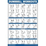Palace Learning Dumbbell Workout Exercise Poster - Free Weight Body Building Guide | Home Gym Chart - LAMINATED, 18 x 24
