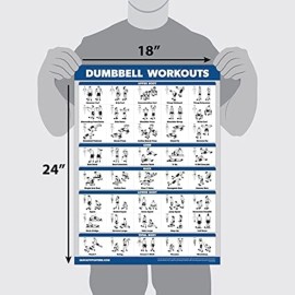 Palace Learning Dumbbell Workout Exercise Poster - Free Weight Body Building Guide | Home Gym Chart - LAMINATED, 18 x 24