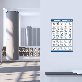Palace Learning Dumbbell Workout Exercise Poster - Free Weight Body Building Guide | Home Gym Chart - LAMINATED, 18 x 24