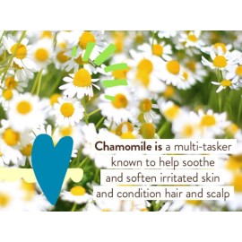 Babo Botanicals Sensitive Baby Mineral Sunscreen Lotion SPF50 - Natural Zinc Oxide - Face & Body - Fragrance-Free - Water-Resistant - EWG Verified - Vegan - Extra Sensitive Skin - For Babies & Kids Babo Botanicals Sensitive Baby Mineral Sunscreen Lotion SPF50 - Natural Zinc Oxide - Face & Body - Fragrance-Free - Water-Resistant - EWG Verified - Vegan - Extra Sensitive Skin - For Babies & Kids