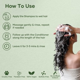 Botanic Hearth Tea Tree Shampoo and Conditioner Set - with 100% Pure Tea Tree Oil, for Itchy and Dry Scalp, Sulfate/Paraben Free - for Men and Women - 16 fl oz each