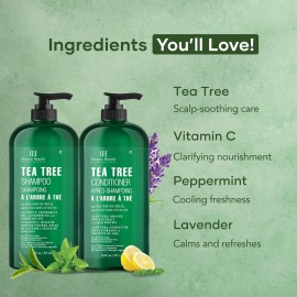 Botanic Hearth Tea Tree Shampoo and Conditioner Set - with 100% Pure Tea Tree Oil, for Itchy and Dry Scalp, Sulfate/Paraben Free - for Men and Women - 16 fl oz each