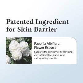 Dr.Althea 147 Barrier Cream | Daily Skin Barrier Care | Deep Hydrating with Hyaluronic Acid & Ceramides | Korean Vegan Skincare for All Skin Types | 1.7 Fl Oz