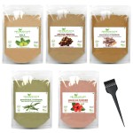 Herbal Hair Mask Powder Combo, Indian Ayurvedic Herbal Powder for Hair Growth (8.8oz, 250g), Organic Bhringraj, Hibiscus, Shikakai, Reetha, Amla Shampoo (1.76oz each)