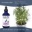 PURA D\'OR Organic Rosemary Essential Oil, 4oz, Therapeutic Grade, for Hair, Body, Skin, Aromatherapy, Relaxation, Massage, Mood, Relief, Home, DIY Soap