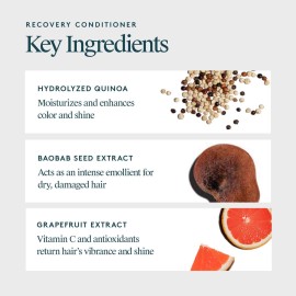 VIRTUE Recovery Conditioner with Keratin Hydrates, Softens, and Renews Damaged Hair, Sulfate Free, Color Safe VIRTUE Recovery Conditioner with Keratin Hydrates, Softens, and Renews Damaged Hair, Sulfate Free, Color Safe