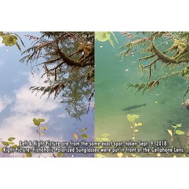 Fishoholic Polarized Fishing Sunglasses UV400 (14 Options) Fishing Gift with Hard Case & Pouch Fishoholic Polarized Fishing Sunglasses UV400 (14 Options) Fishing Gift with Hard Case & Pouch