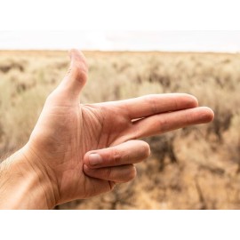 Finger Guns at High Noon Finger Guns at High Noon
