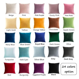 Stellhome Super Soft Velvet Square Throw Pillow Covers for Bed Couch Sofa Bench, 18 x 18 inch (45 cm), Silver Blue, Pack of 2 Stellhome Super Soft Velvet Square Throw Pillow Covers for Bed Couch Sofa Bench, 18 x 18 inch (45 cm), Silver Blue, Pack of 2