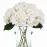 Kimura\'s Cabin 6pcs Fake White Flowers Artificial Silk Hydrangea Flowers Bouquets Faux Hydrangea Stems for Home Table Centerpieces Wedding Party Decoration (White)