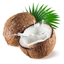 US Organic Fractionated Coconut MCT Oil (Liquid Coconut Oil), USDA Certified Organic, Non-GMO, Perfect for massage, carrier oil for DIY blends, Hair, Skin care. 100% Pure, Hexane-Free (8 oz) US Organic Fractionated Coconut MCT Oil (Liquid Coconut Oil), USDA Certified Organic, Non-GMO, Perfect for massage, carrier oil for DIY blends, Hair, Skin care. 100% Pure, Hexane-Free (8 oz)