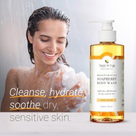 Tree to Tub Citrus Body Wash for Dry Skin & Sensitive Skin - pH Balanced Moisturizing Body Wash, Hydrating Sulfate Free Body Soap for Women & Men Tree to Tub Citrus Body Wash for Dry Skin & Sensitive Skin - pH Balanced Moisturizing Body Wash, Hydrating Sulfate Free Body Soap for Women & Men
