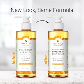 Tree to Tub Citrus Body Wash for Dry Skin & Sensitive Skin - pH Balanced Moisturizing Body Wash, Hydrating Sulfate Free Body Soap for Women & Men Tree to Tub Citrus Body Wash for Dry Skin & Sensitive Skin - pH Balanced Moisturizing Body Wash, Hydrating Sulfate Free Body Soap for Women & Men