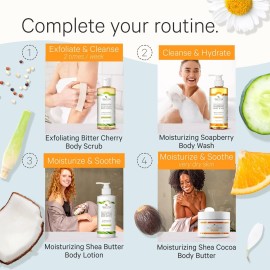 Tree to Tub Citrus Body Wash for Dry Skin & Sensitive Skin - pH Balanced Moisturizing Body Wash, Hydrating Sulfate Free Body Soap for Women & Men Tree to Tub Citrus Body Wash for Dry Skin & Sensitive Skin - pH Balanced Moisturizing Body Wash, Hydrating Sulfate Free Body Soap for Women & Men