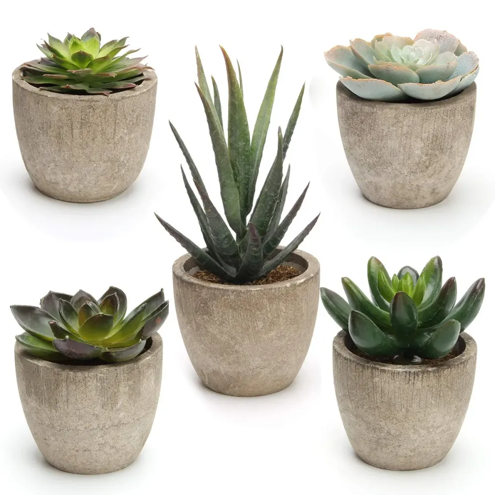 Coitak Artificial Succulent Plants Potted, Assorted Decorative Faux Succulent Potted Fake Cactus Cacti Plants with Pots, Set of 5 Coitak Artificial Succulent Plants Potted, Assorted Decorative Faux Succulent Potted Fake Cactus Cacti Plants with Pots, Set of 5